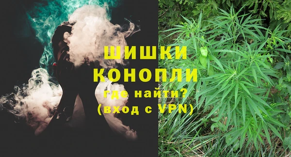 ECSTASY Осинники