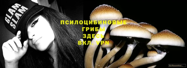 молекула духа Остров