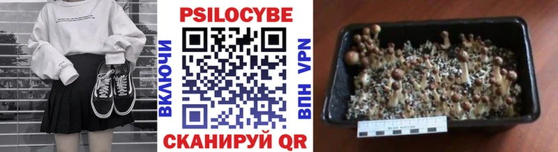 Галлюциногенные грибы Psilocybe  hydra маркетплейс  Скопин 